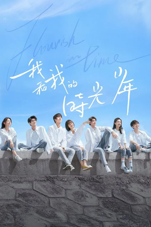 我和我的时光少年海报
