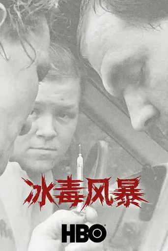 冰毒风暴海报
