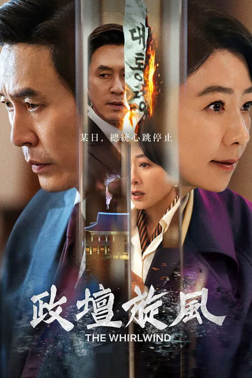 政坛旋风海报