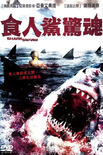 鲨鱼来袭海报