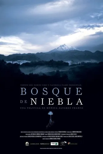 Bosque de Niebla海报