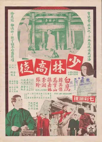 少林高徒海报