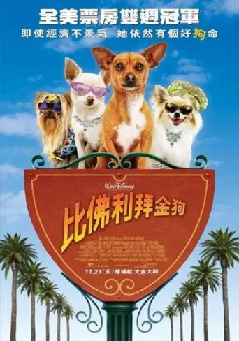 比佛利拜金狗海报