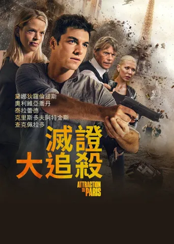 灭证大追杀海报