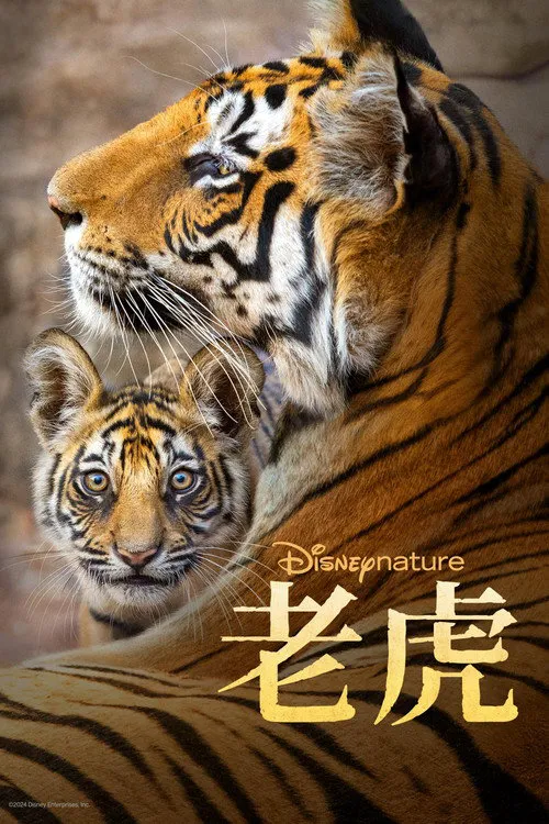 老虎海报