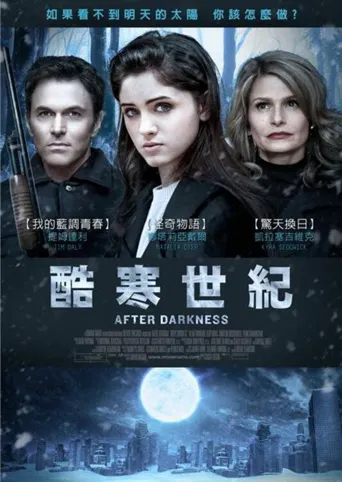 黑暗之后海报