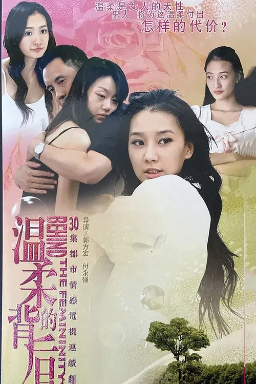 温柔的背后海报