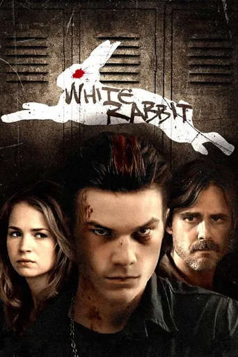 White Rabbit海报