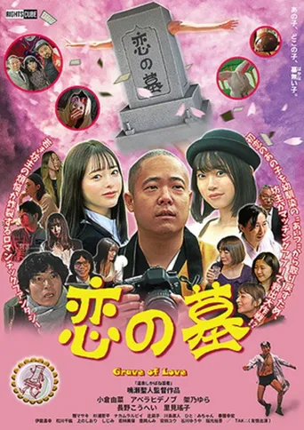 恋之墓海报