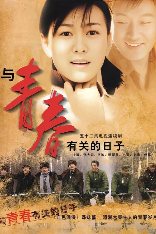 与青春有关的日子海报