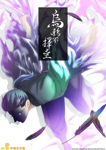 乌鸦不择主海报