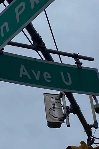 Ave U海报