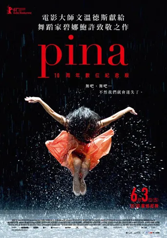 皮娜海报