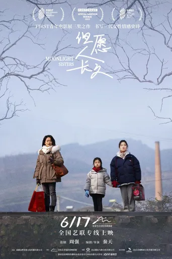 但愿人长久海报