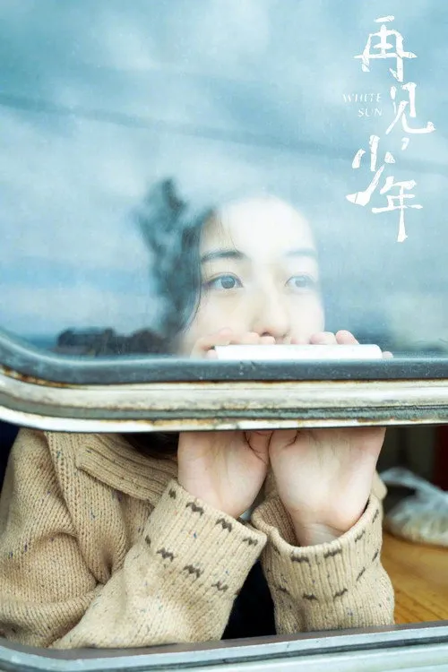 再见，少年海报
