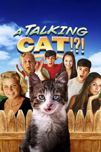 一只会说话的猫海报