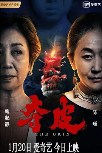 夺皮海报