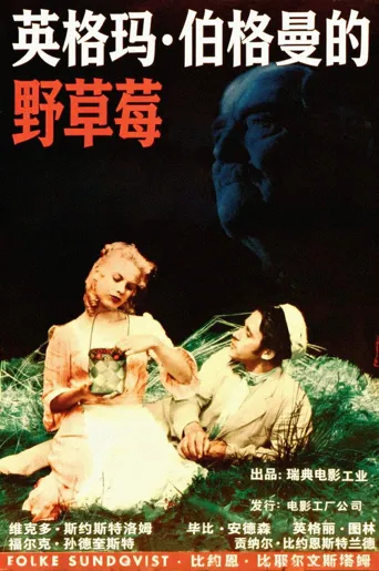 野草莓海报