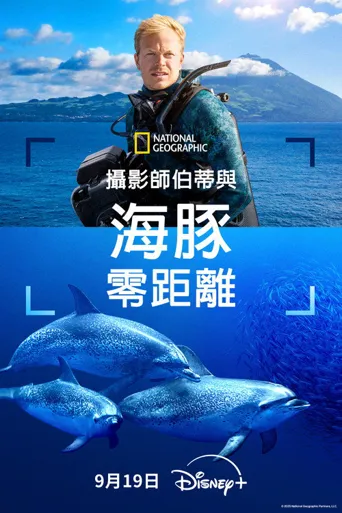 摄影师贝尔蒂与海豚零距离海报