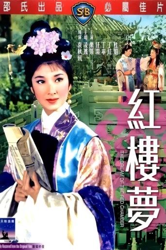 红楼梦海报