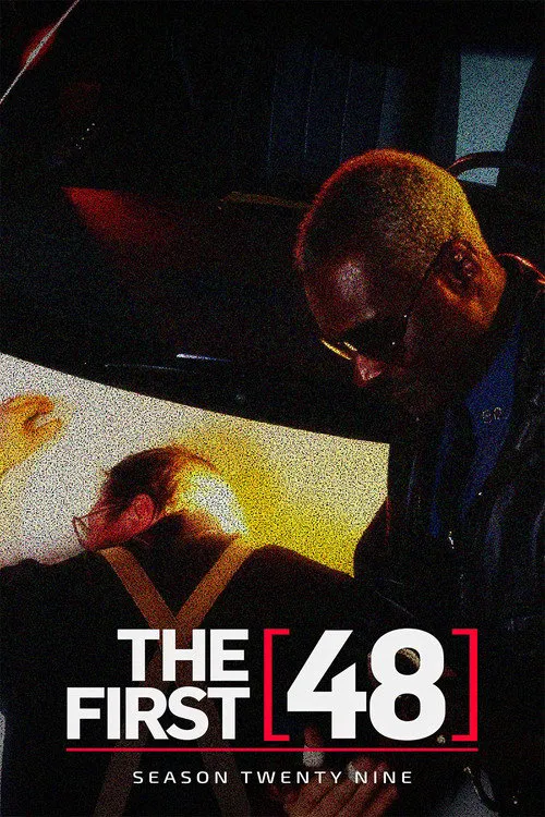 The First 48 第 29 季海报