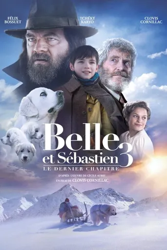 灵犬雪莉3：永远的朋友海报