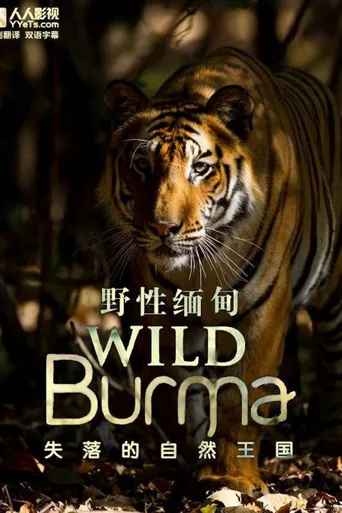 野性缅甸：失落的自然王国海报