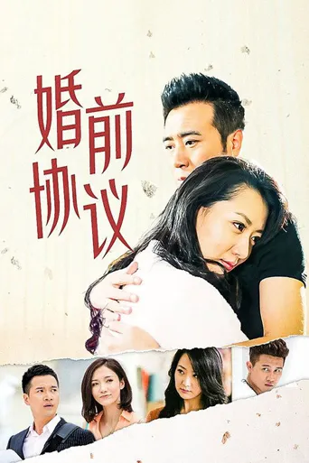 婚前协议海报