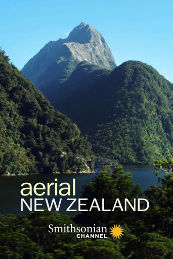 Aerial New Zealand海报