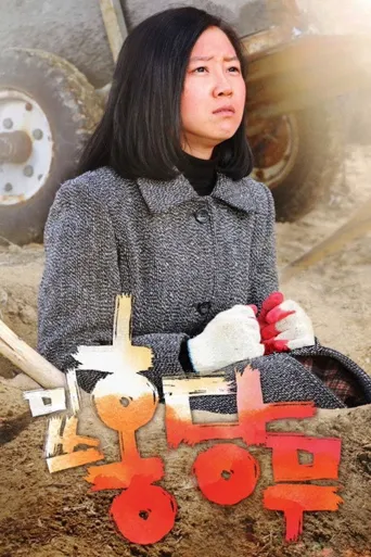 胡萝卜小姐海报