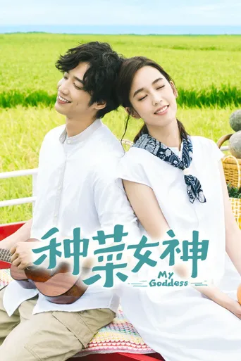 种菜女神海报