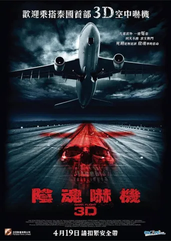 407航班海报