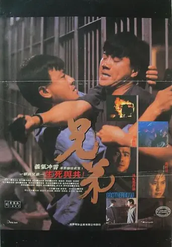兄弟海报