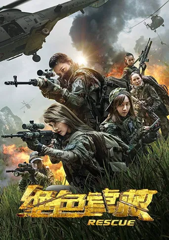 绝色营救海报