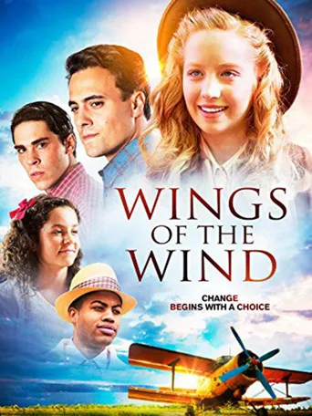 Wings of the Wind海报