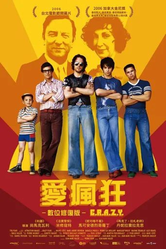 爱疯狂海报