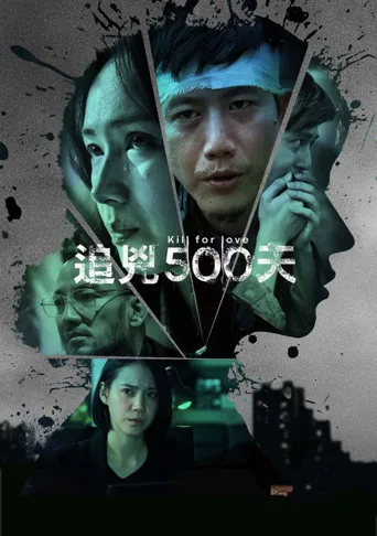 追凶500天海报