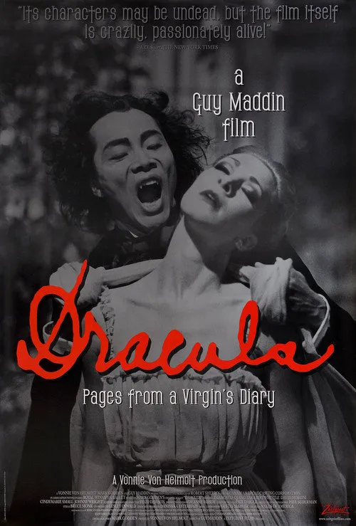 寻找暗夜里的情人海报