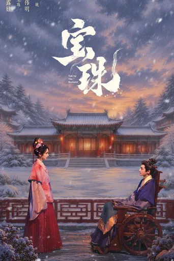 宝珠 第 1 季海报
