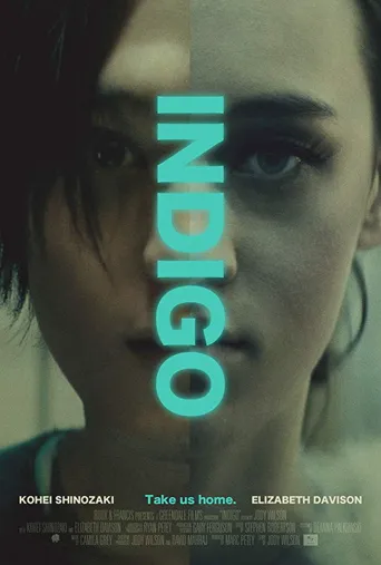 Indigo(2016)海报