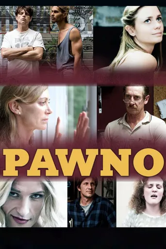 Pawno海报
