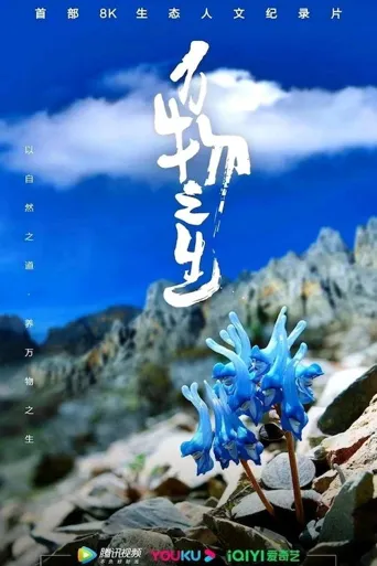 万物之生海报