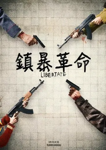 89年的锡比乌海报