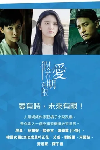 假如爱有期限海报
