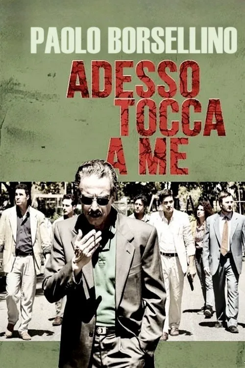 Adesso tocca a me海报