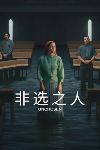 未选之人海报