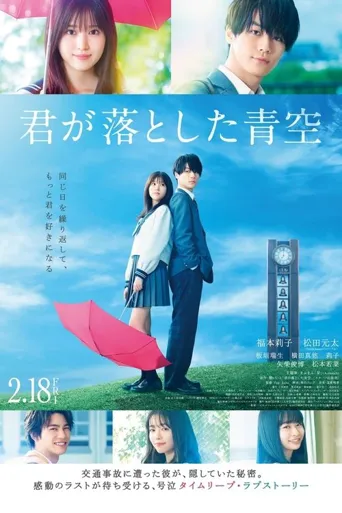 你遗落的蓝天海报