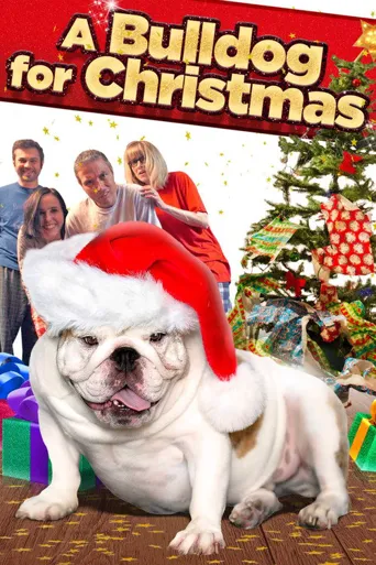 A Bulldog for Christmas海报