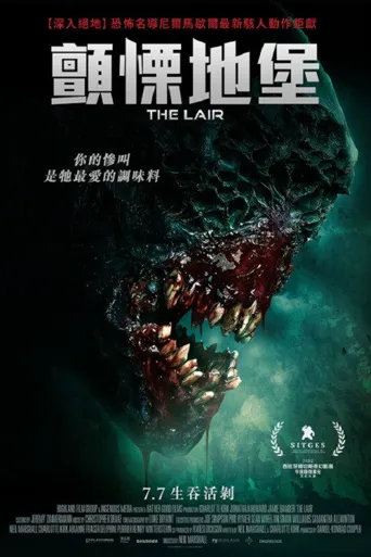 巢穴海报