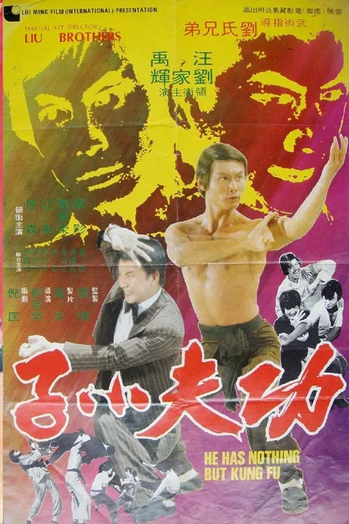 功夫小子海报